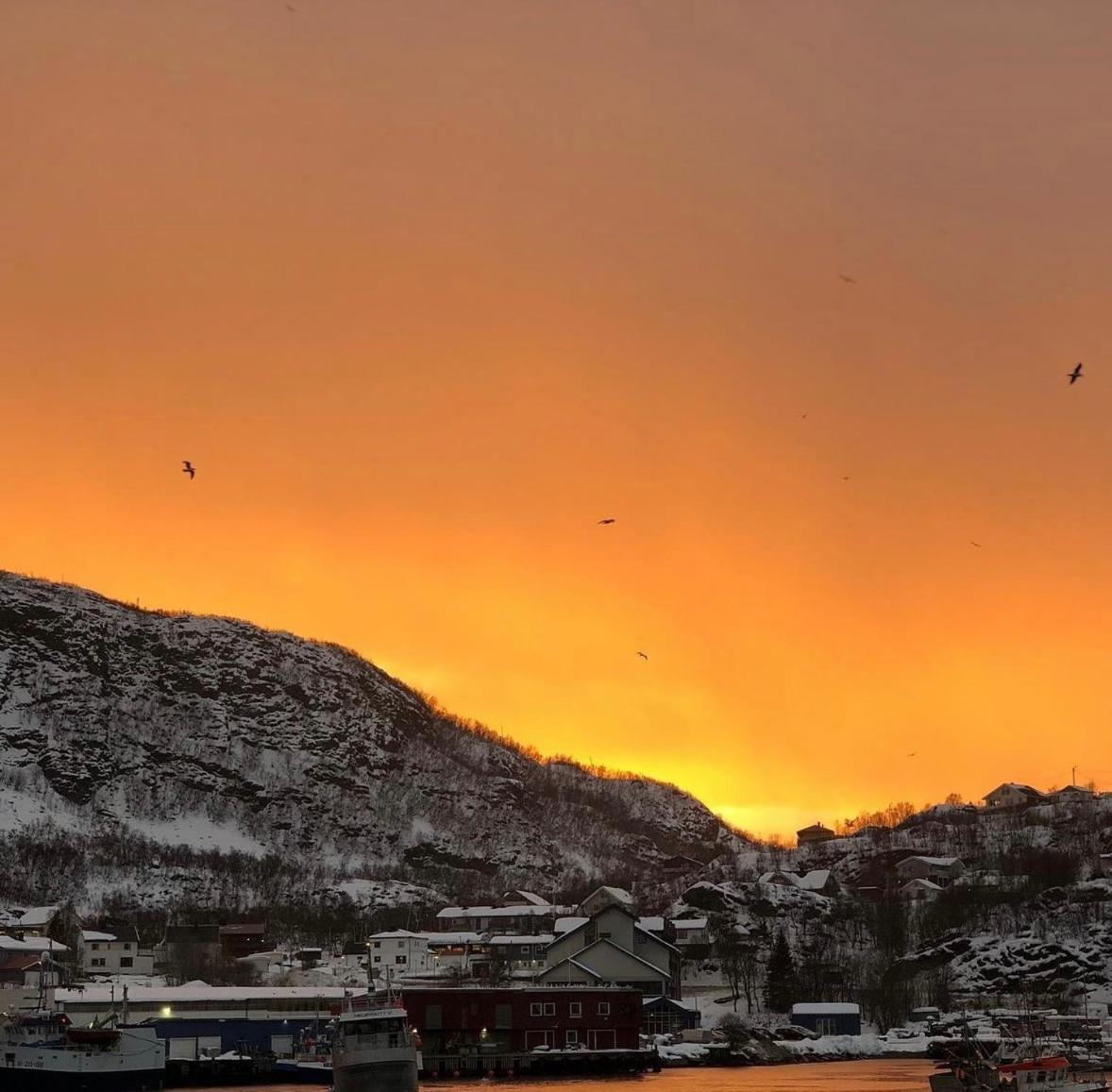Arctic Loft Skjervoy